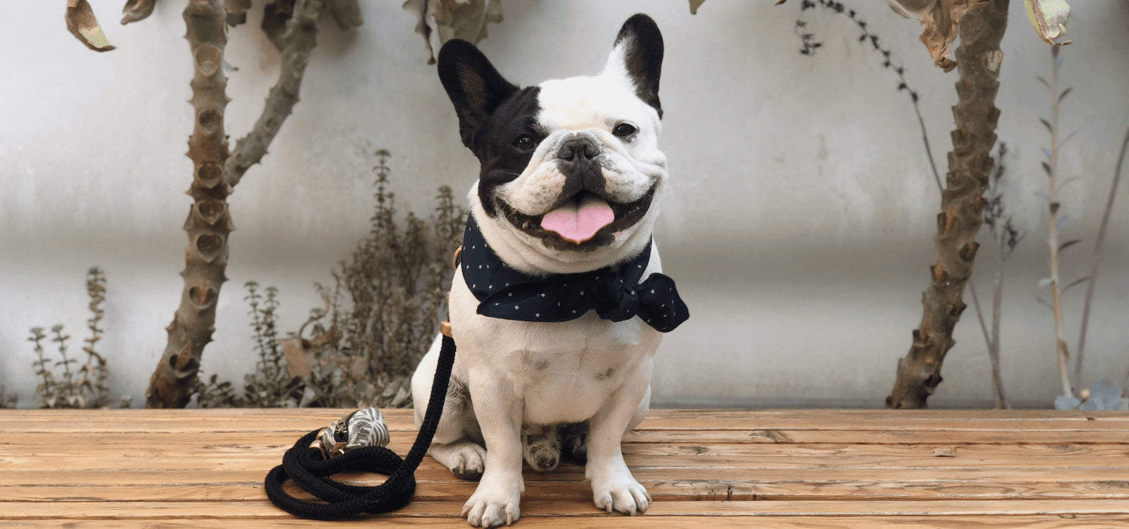 Humphrey Goes to Los Angeles (Part 1)