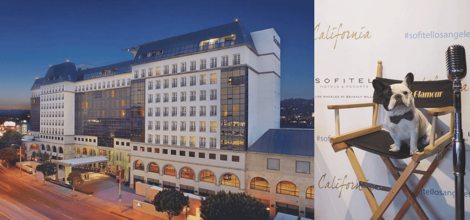 Dog-Friendly Hotel - Sofitel Los Angeles at Beverly Hills