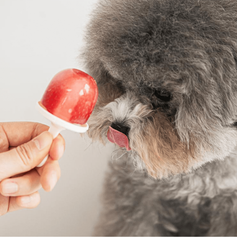 Pupsicle Mold (Food Grade Silicone) Toy Bite Me