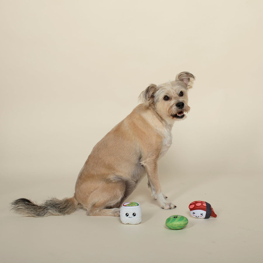 3-Piece Small Dog Toy Set - Sushi