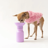 Travel Water Bottle for Dogs (15oz) - Lilac Bowl Springer