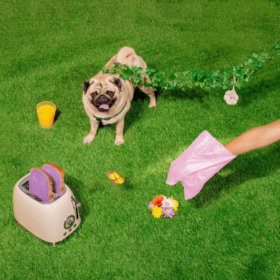 Poopsy Daisy Dog Poop Bag Holder - Goat Milk (Cream) Leash Accessories Spotted By Humphrey