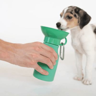 Travel Water Bottle for Dogs (15oz) - Green Bowl Springer