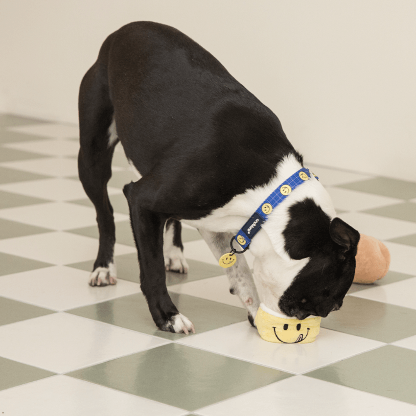 Smiley Face Dog Collar - Blue Collar Andblank