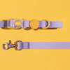 Macaron Waterproof Collar and Leash Set (4 Colors) Collar Bite Me Taro (Purple) M