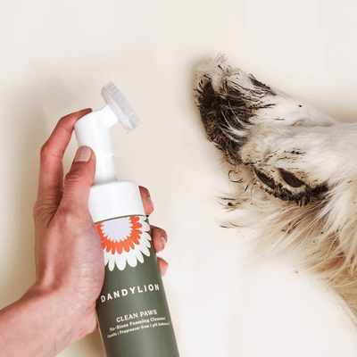 Dandylion Clean Paws No-Rinse Foaming Cleanser for Dogs Grooming Dandylion