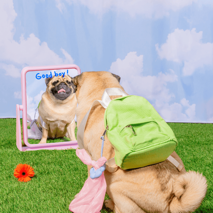 Poopsy Daisy Dog Poop Bag Holder - Set of 2 Leash Accessories Spotted By Humphrey