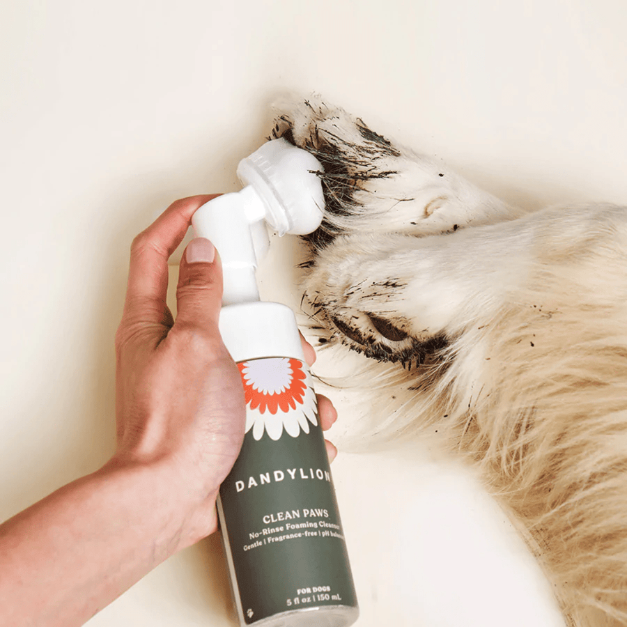 Dandylion Clean Paws No-Rinse Foaming Cleanser for Dogs