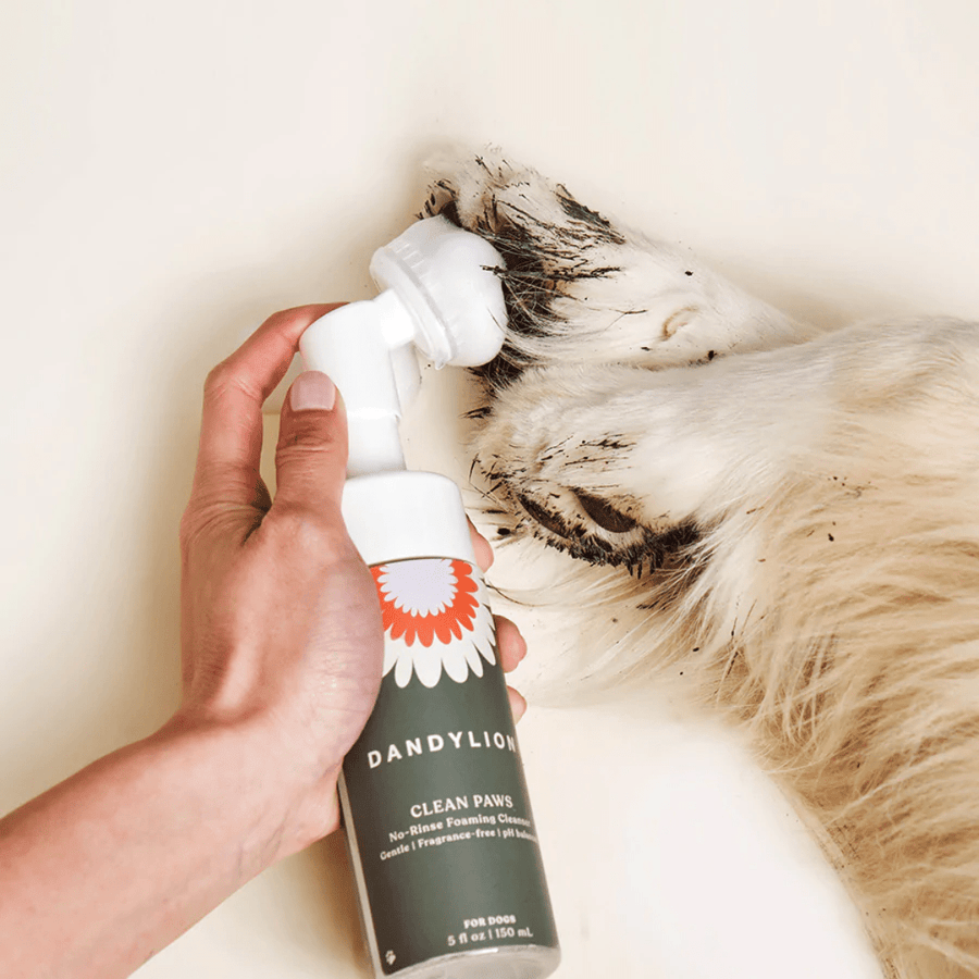 Dandylion Clean Paws No-Rinse Foaming Cleanser for Dogs Grooming Dandylion