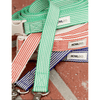 HowlGo Basic Adjustable Leash (Size Large) - Green Leash Howlpot