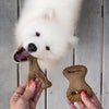 Benebone Tiny Dog 2-Pack Chew Toys - Real Bacon Toy Benebone