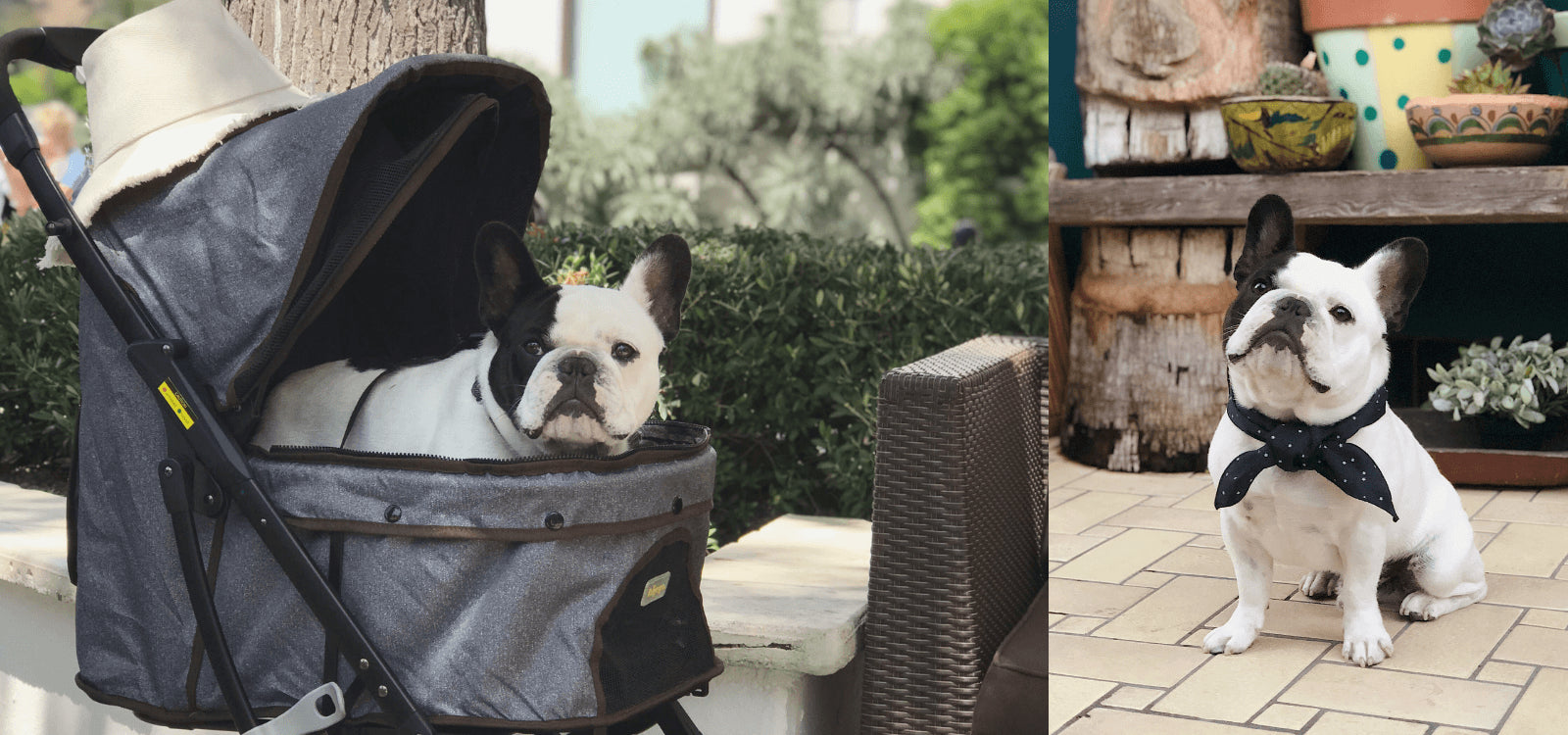 Humphrey Goes to Los Angeles (Part 2)