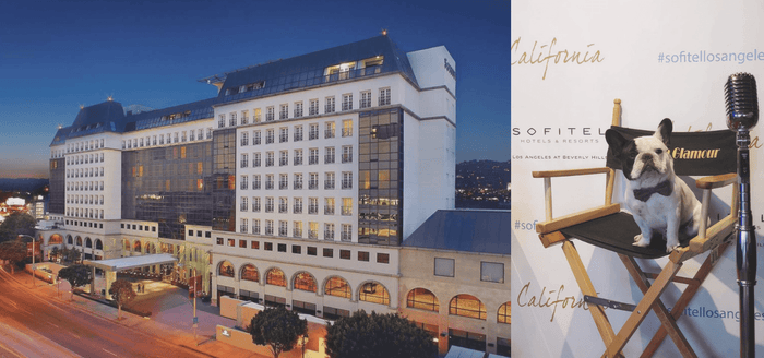 Dog-Friendly Hotel - Sofitel Los Angeles at Beverly Hills