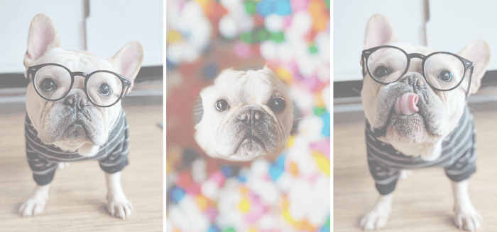 A Day In The Life: Horton