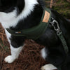 Town Cordura Harness - Khaki Green Harness Charlie's Backyard