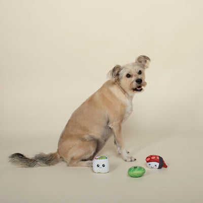 3 Piece Small Dog Toy Set - Sushi Toy Fringe Studio