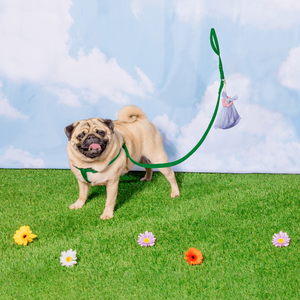 Poopsy Daisy Dog Poop Bag Holder - Toe Beans (Pink) Leash Accessories Spotted By Humphrey
