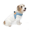 Roy Buckle-Up Easy Harness - Baby Blue Harness Charlie's Backyard