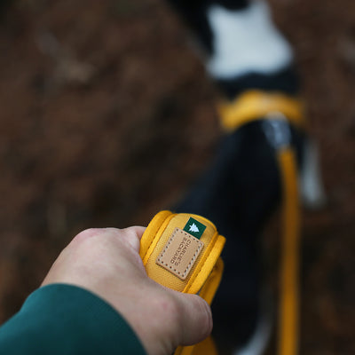 Town Cordura Leash - Yellow