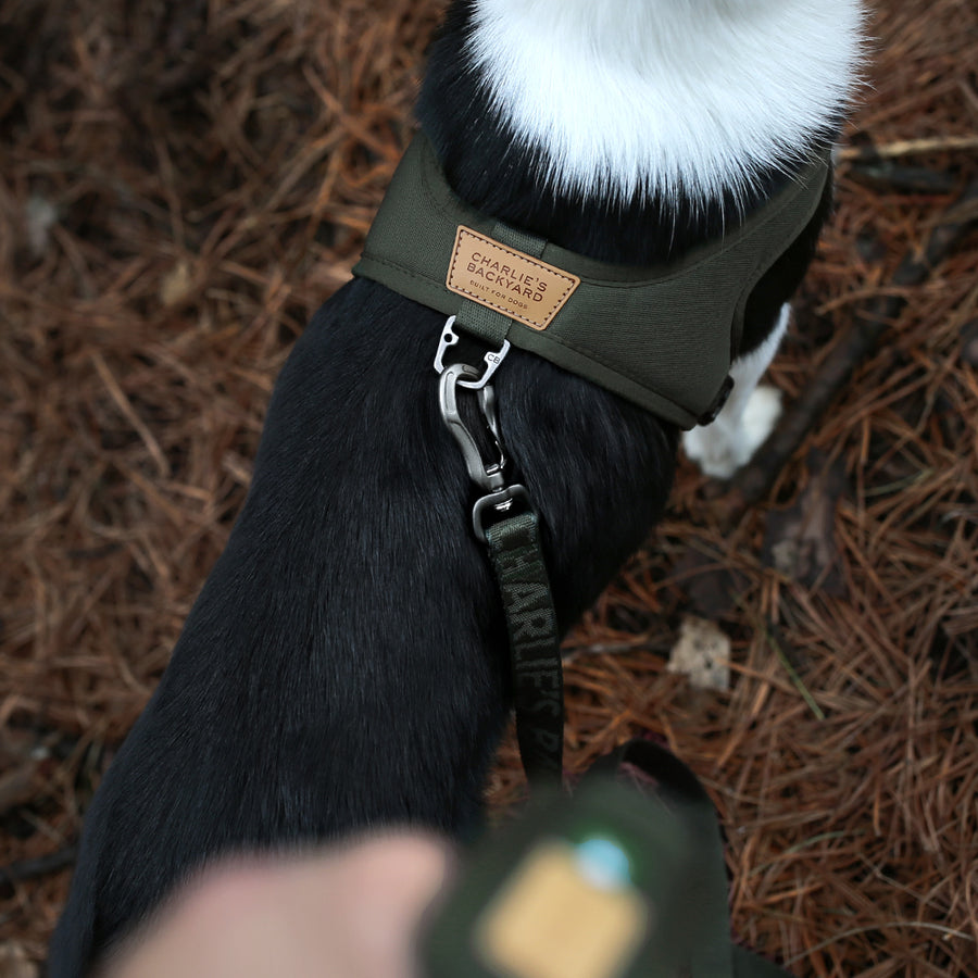 Town Cordudra Leash - Khaki Green