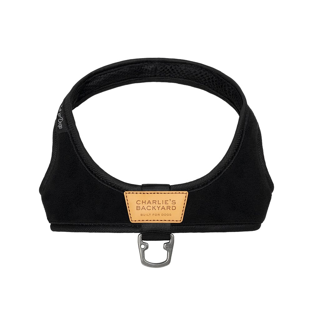 Town Harness - Black Harness Charlie's Backyard