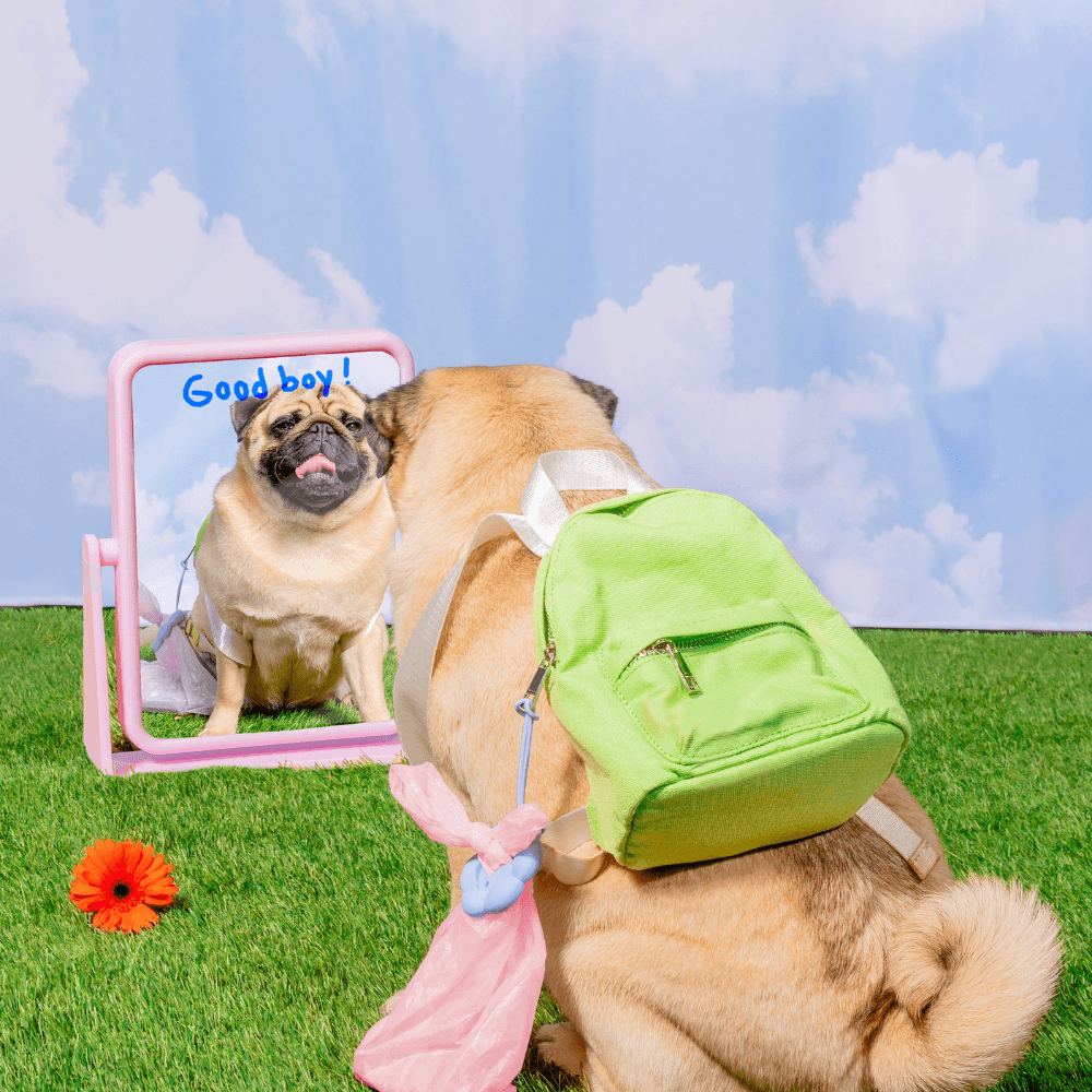 Poopsy Daisy Dog Poop Bag Holder - Toe Beans (Pink) Leash Accessories Spotted By Humphrey