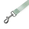 Amore Dog Leash - Mint Green Leash MiAmore Pets