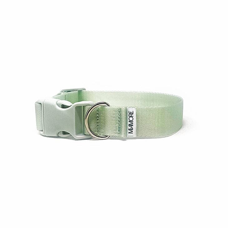 Amore Dog Collar - Mint Green Collar MiAmore Pets 