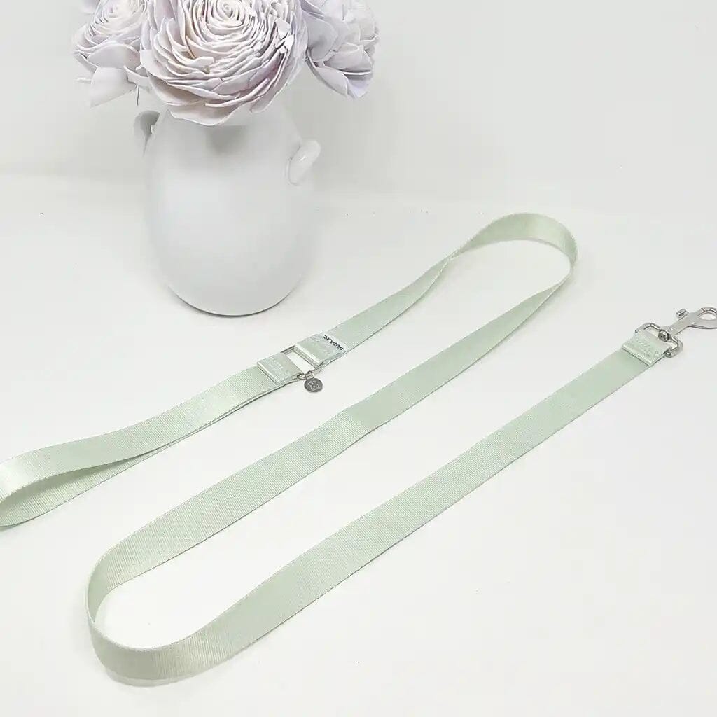 Amore Dog Leash - Mint Green Leash MiAmore Pets