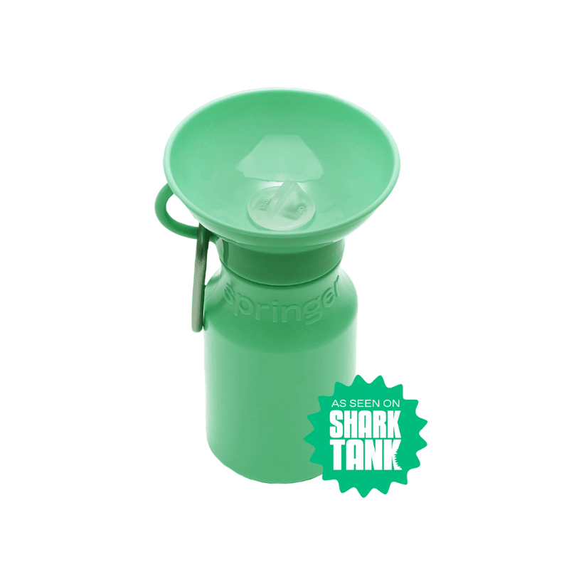 Travel Water Bottle for Dogs (15oz) - Green Bowl Springer 