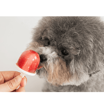 Pupsicle Mold (Food Grade Silicone) Toy Bite Me