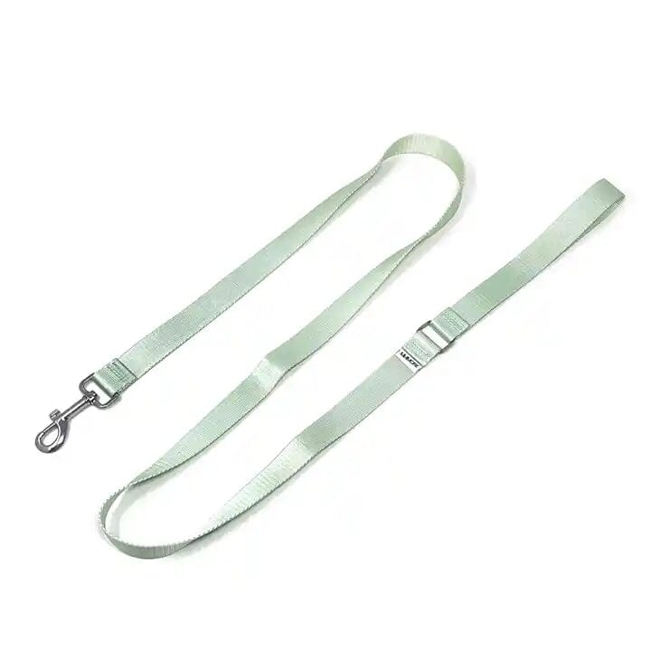 Amore Dog Leash - Mint Green