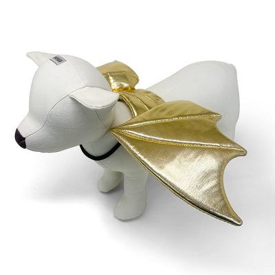 Dragon Wings Gold Accessories Dogo