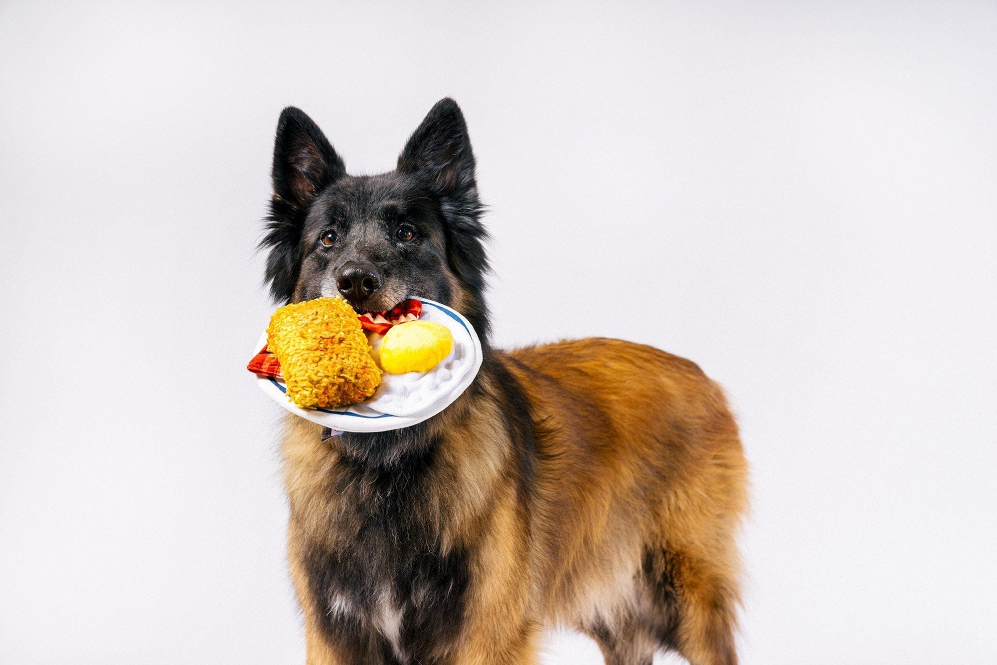 IHOP X P.L.A.Y. Eggcellent Play Platter Breakfast Plate Toy Toy P.L.A.Y.