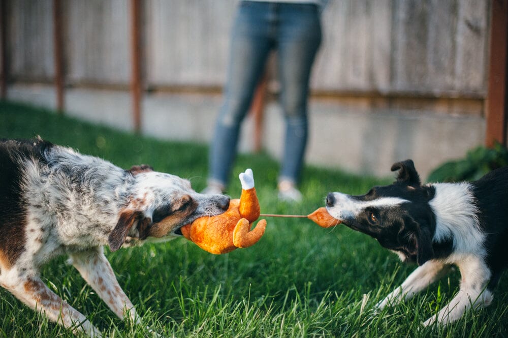 Whole Turkey Holiday Classic Plush Toy Toy P.L.A.Y.