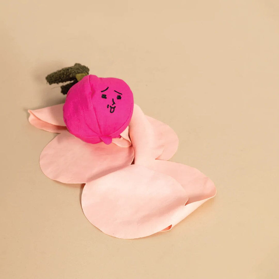 Red Cabbage Interactive Nose Work Dog Toy - Spotted By Humphrey