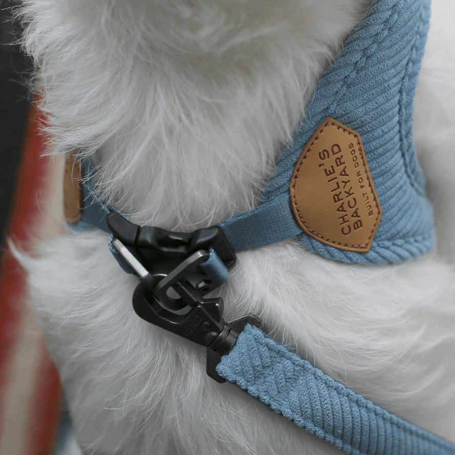 Roy Buckle-Up Easy Harness - Baby Blue Harness Charlie's Backyard