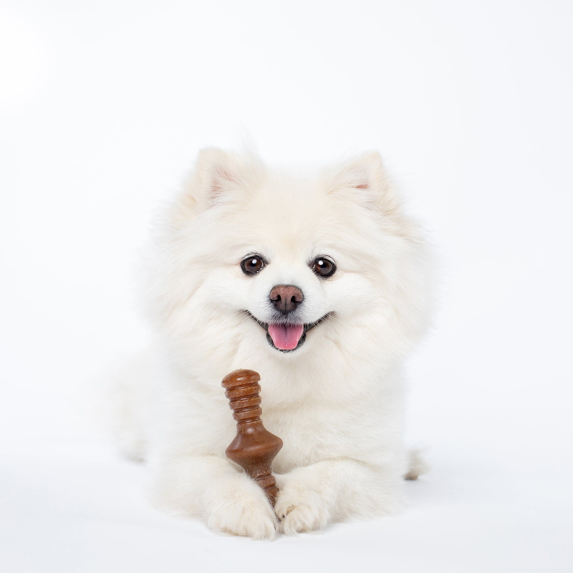 Benebone Zaggler Bacon Flavor Durable Dog Stick Chew Toy Toy Benebone