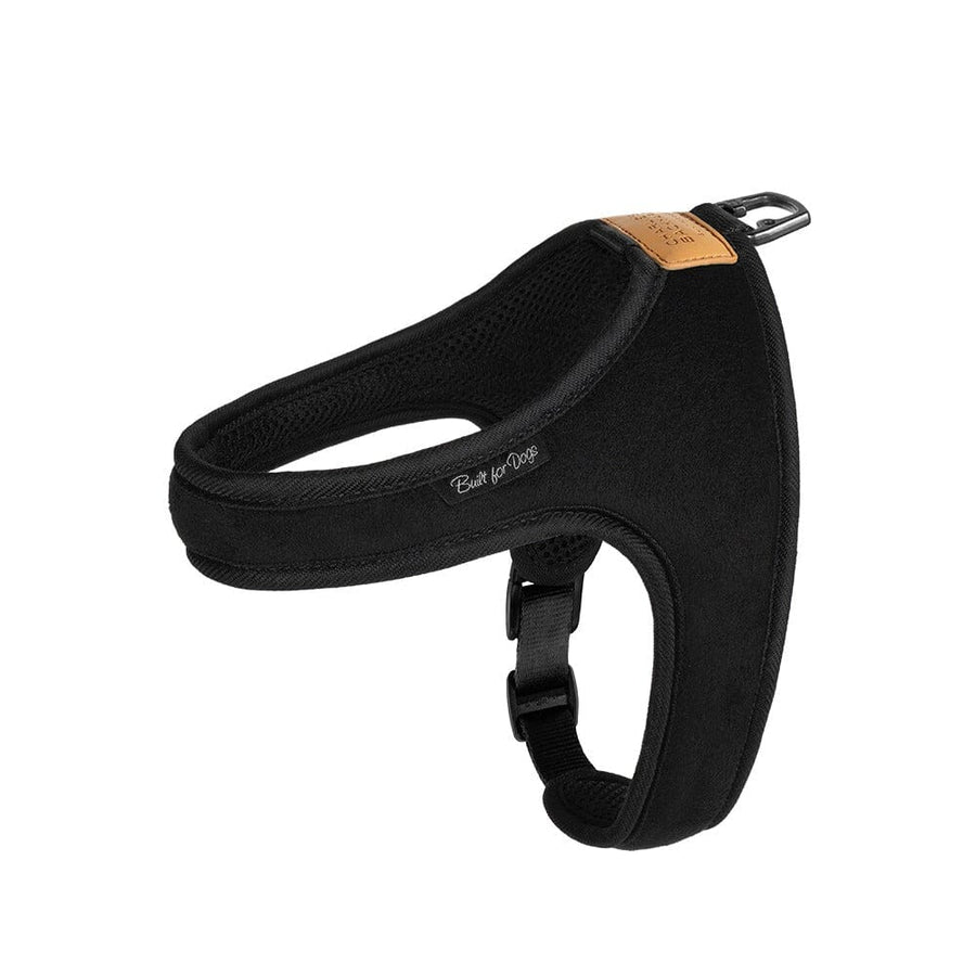 Town Harness - Black Harness Charlie's Backyard 