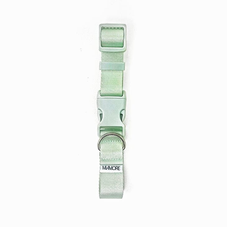 Amore Dog Collar - Mint Green Collar MiAmore Pets