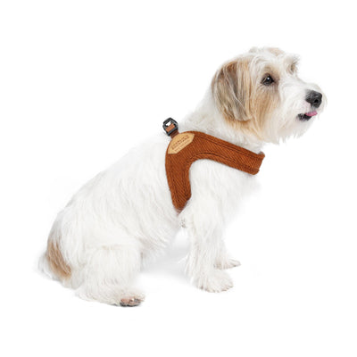 Roy Buckle-Up Easy Harness - Caramel Brown Harness Charlie's Backyard