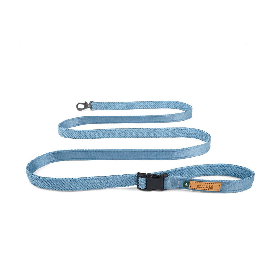 Roy Leash - Baby Blue Leash Charlie's Backyard 