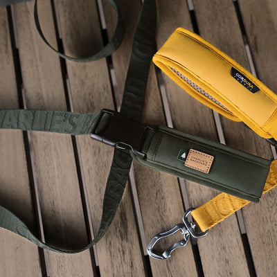 Town Cordudra Leash - Khaki Green Leash Charlie's Backyard