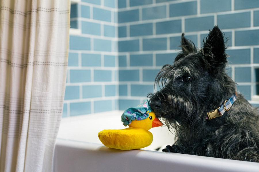 Splish Splash - Bubbles the Duck Plush Toy