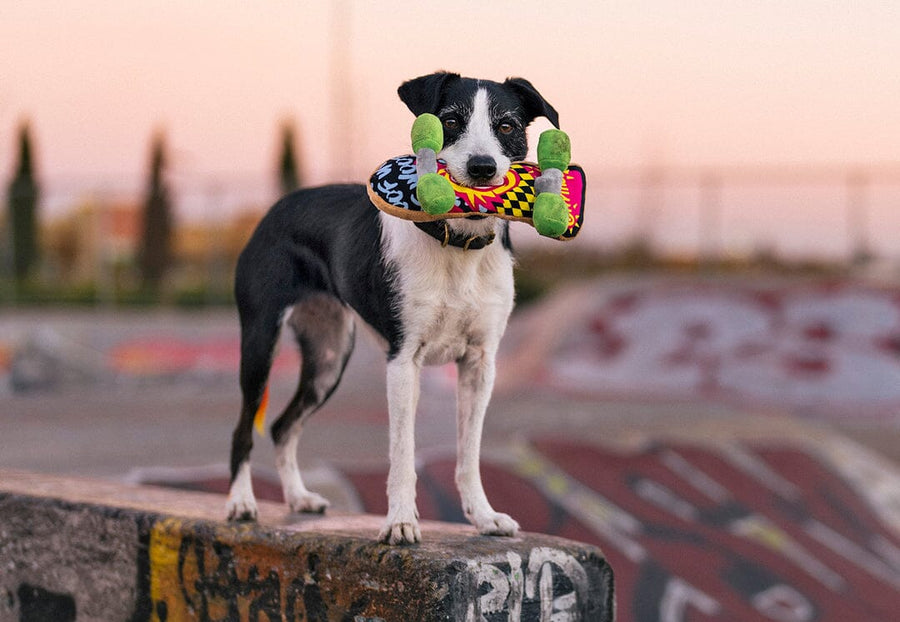90s Classic Dog Toy - Kickflippin' K9 Skateboard