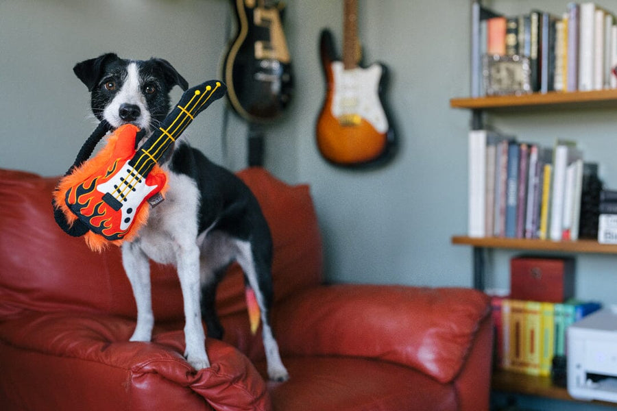 90s Classic Dog Toy - Rock'n Rollover Electric Guitar