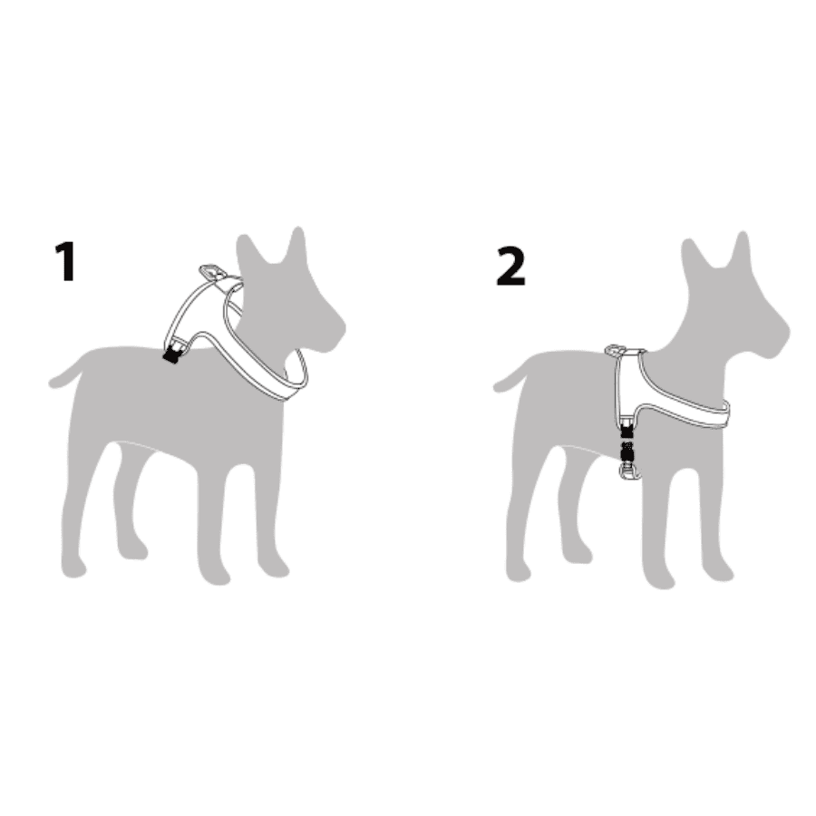 Town Cordura Harness - Yellow Harness Charlie's Backyard