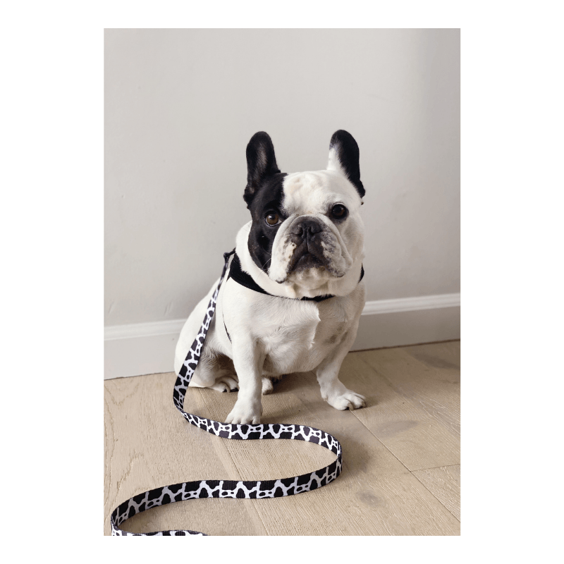 Holy Cow Comfort Grip Leash Leash Woof + Wonder