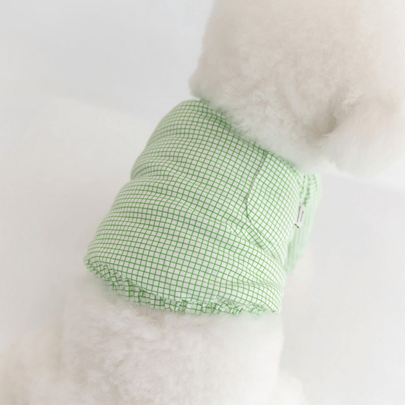 Pumpkin Crop Top - Green Clothing Dentists Appointment