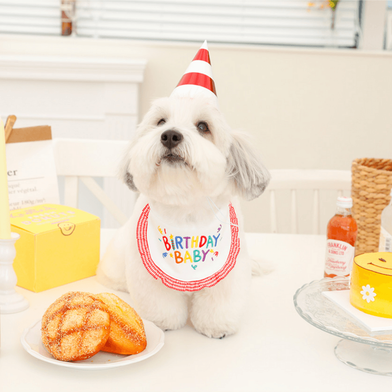 Birthday Baby Bib - Red